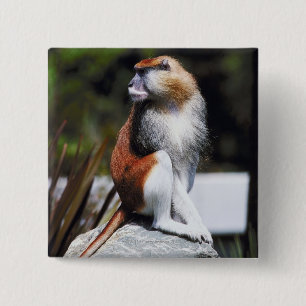 Patas monkey 2 inch square button