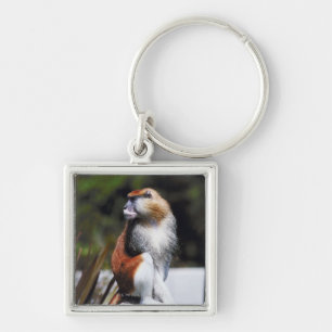 Patas monkey keychain