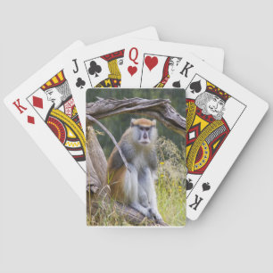 Patas Monkey Playing Cards