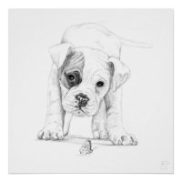 Patch A Boxer Puppy Drawing Art