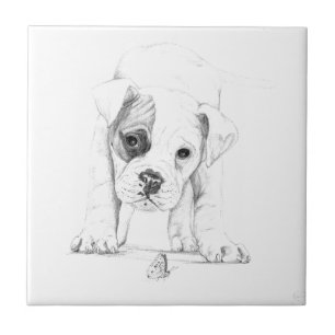 Patch A Boxer Puppy Drawing Art Tile