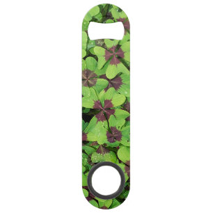 Patch of Four Leaf Clover (Sorrel) after Rain Bar Key