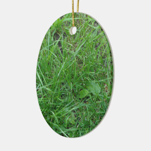 Patch of Grass Ceramic Ornament