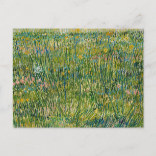 Patch of Grass   Vincent van Gogh Postcard