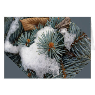 patch of snow
