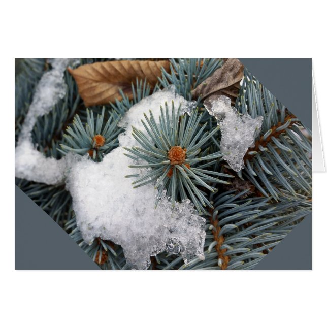 patch of snow (Front Horizontal)