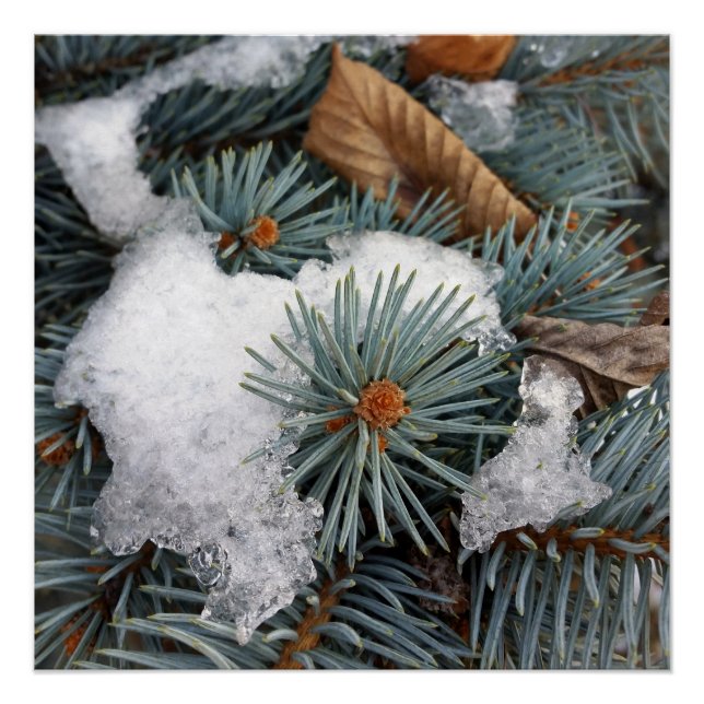 patch of snow poster (Front)