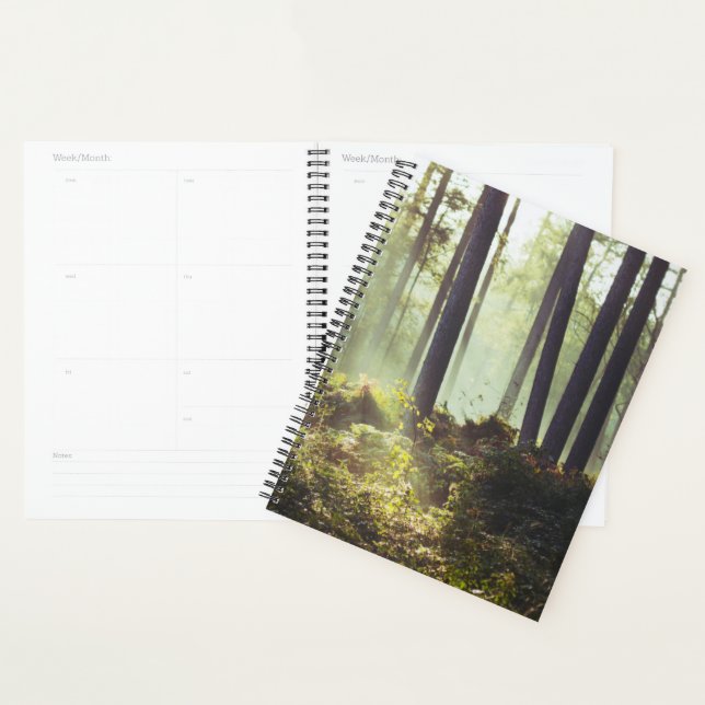 Patch of Underbrush in the Forest (Devant avec enveloppe)