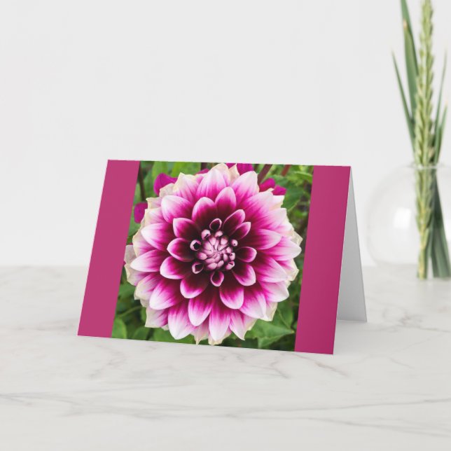 Patches Dahlia Card (Front)
