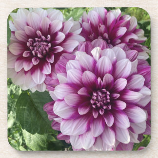 Patches Dahlia, Stunning Purple Flower Coaster
