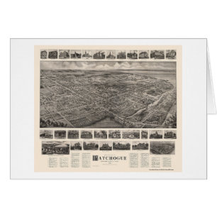 Patchogue, NY Panoramic Map - 1906