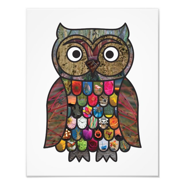 Patchwork Owl Photo Print (Front)