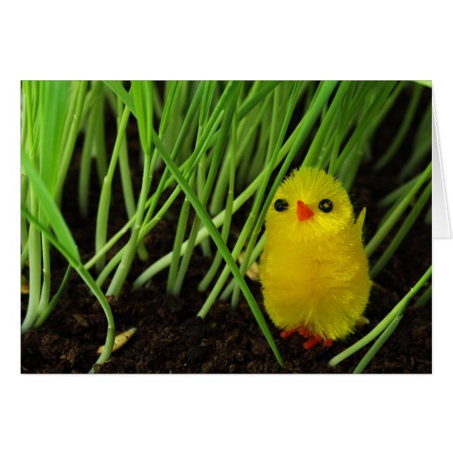 pâté (Devant horizontal)