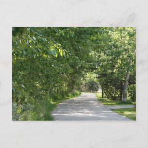 Path among trees postcard