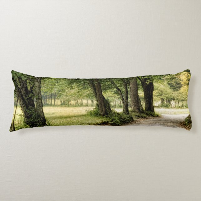 Path in the Country Body Pillow (Front)