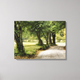 Path in the Country Canvas Print
