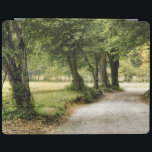 Path in the Country iPad Cover<br><div class="desc">Home Décor</div>