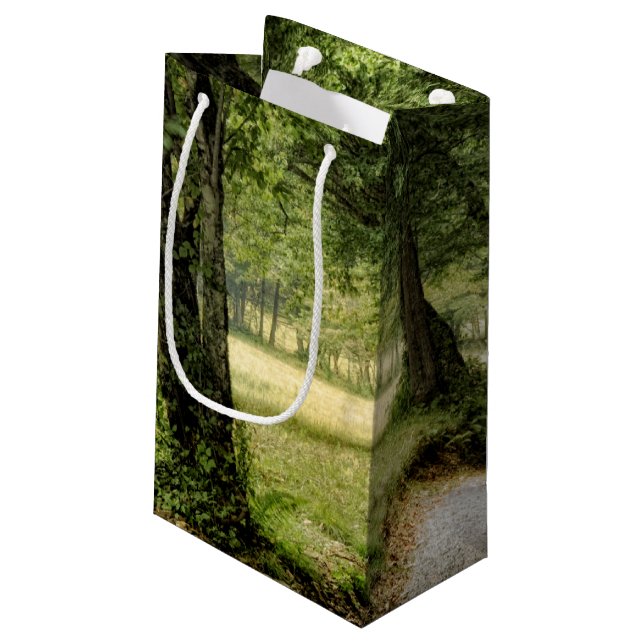 Path in the Country Small Gift Bag (Back Angled)