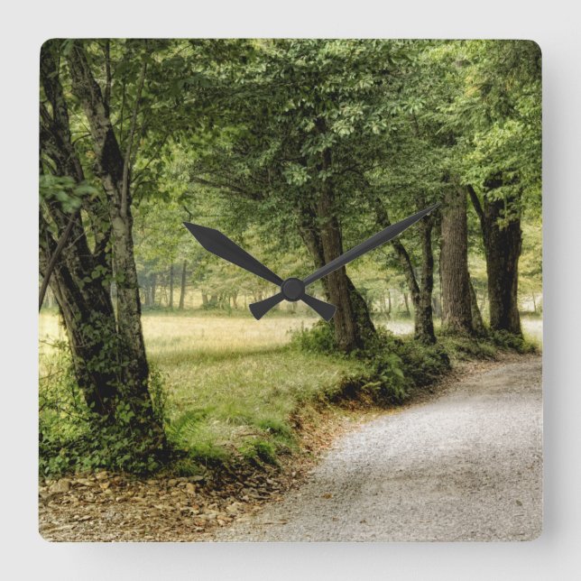 Path in the Country Square Wall Clock (Front)