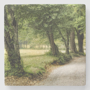 Path in the Country Stone Coaster