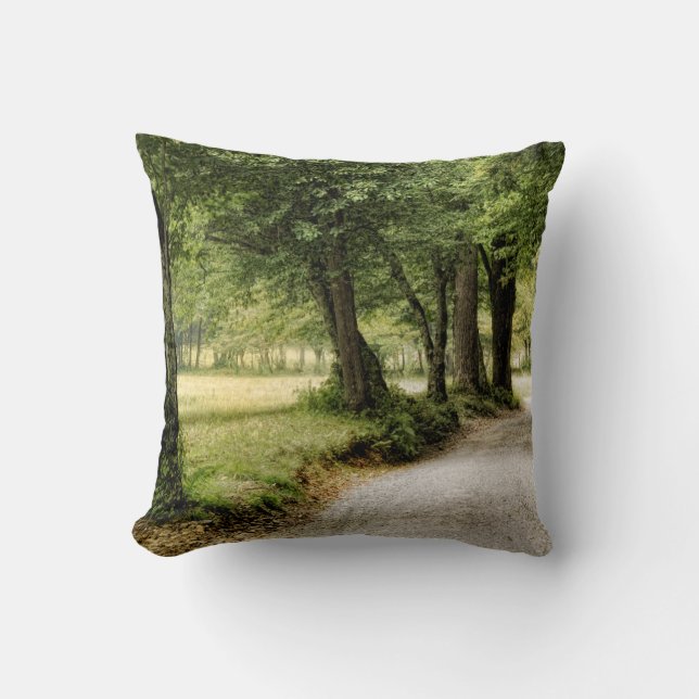 Path in the Country Throw Pillow (Front)