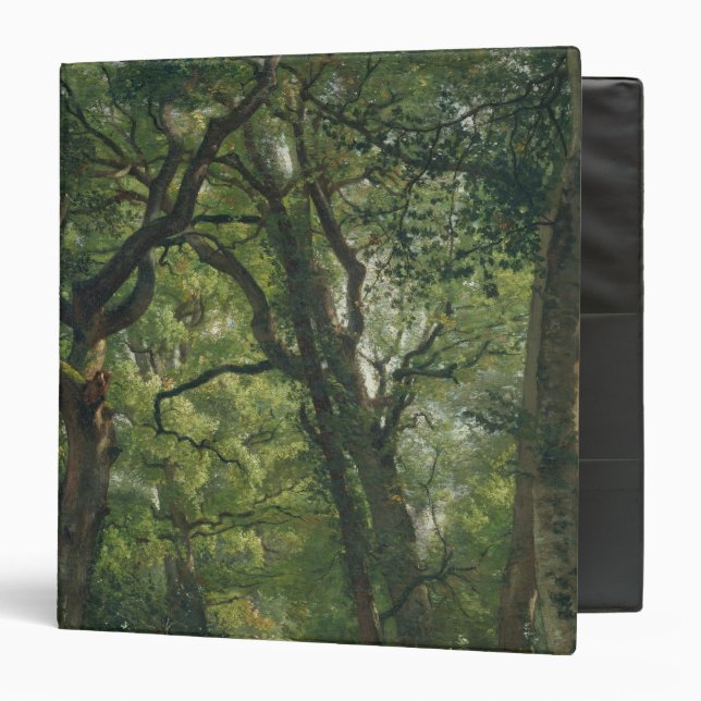 Path in the Forest, 1864 Binder (Front/Inside)