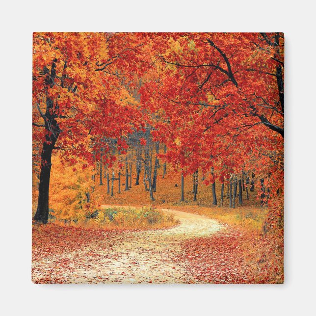 Path in the Forest, Autumn Magnet (Front)