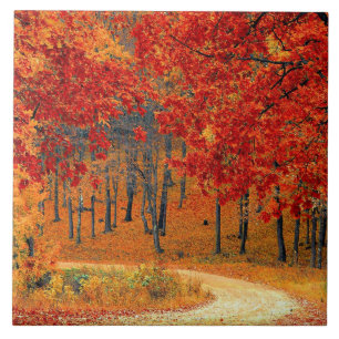 Path in the Forest, Autumn Tile