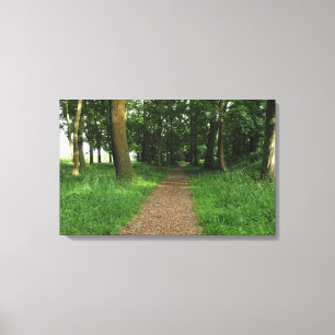 Path in The Woods, Bute Park, Cardiff Canvas Print
