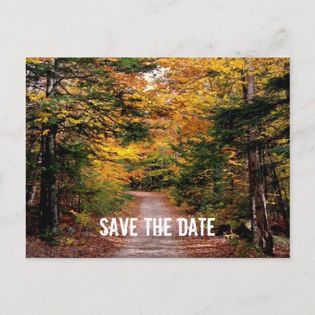 Path in the Woods Fall Save the Date Announcement Postcard (Front)