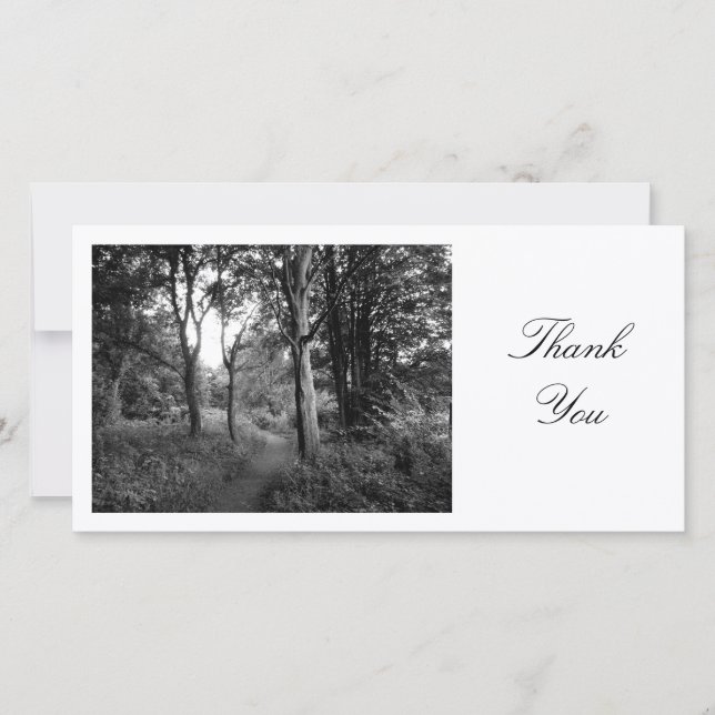 Path in the Woods - Thank You Card (Front)