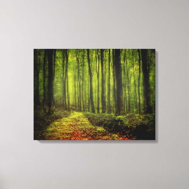 Path In Woods Canvas Print (Front)