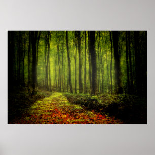 Path In Woods Poster