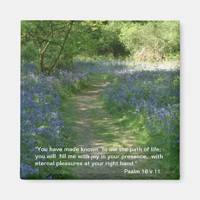 Path of Life - Bluebells | Magnet (Front)