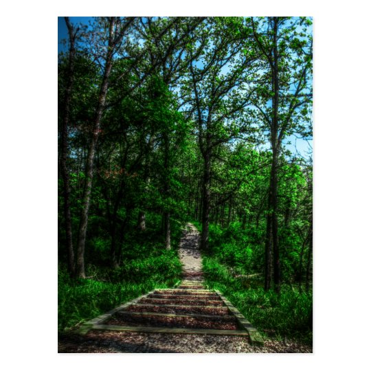 Path Of Life Postcard