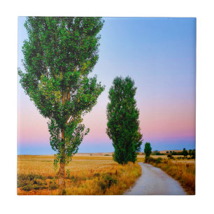 Path of the French Way Tile