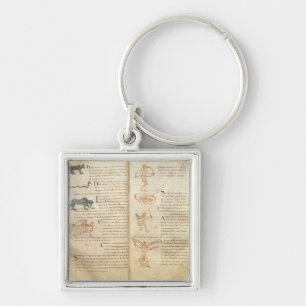 Path of the moon across the constellations keychain