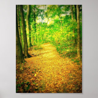 Path Poster