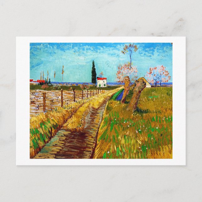 Path through a Field with Willows Van Gogh Postcard (Front)