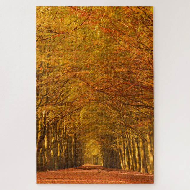Path through an autumn forest jigsaw puzzle (Vertical)