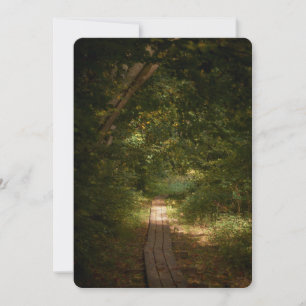 Path through forest holiday card
