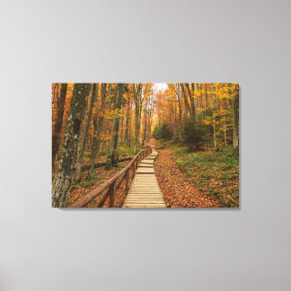 Path through the autumn forest. canvas print