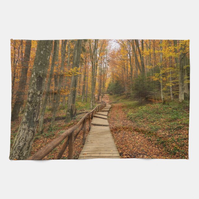 Path through the autumn forest. kitchen towel (Horizontal)