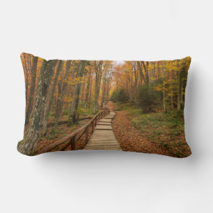 Path through the autumn forest. lumbar pillow