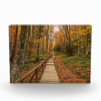 Path through the autumn forest. photo block