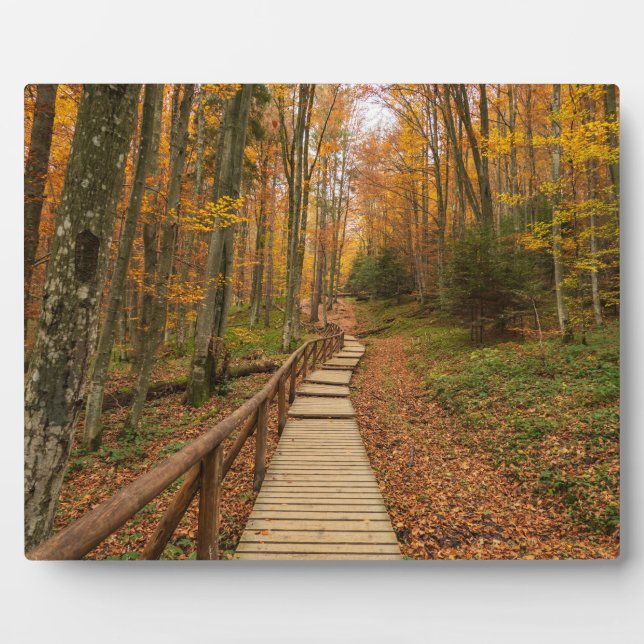 Path through the autumn forest. plaque (Front)