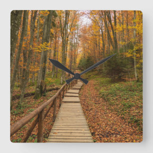 Path through the autumn forest. square wall clock