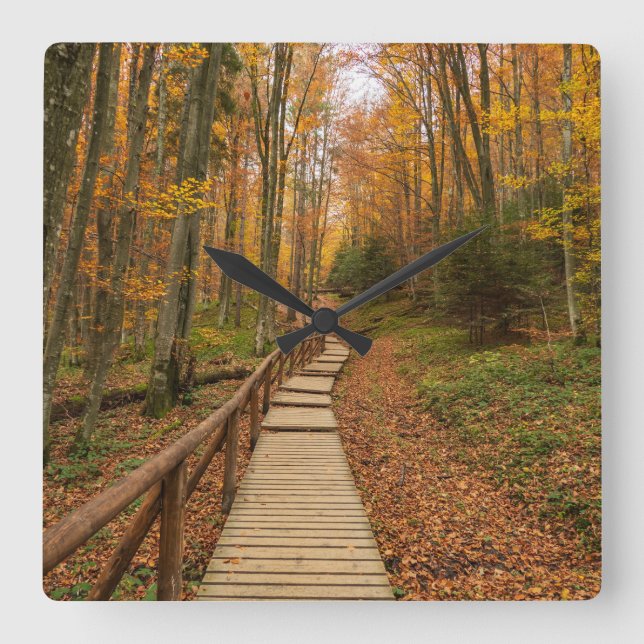 Path through the autumn forest. square wall clock (Front)