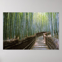 Path through the Bamboo: Kyoto, Japan