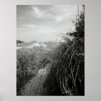 Path Through the Dunes – Rustic Coastal Poster